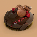 Chocolate cake with macarons and raspberries on a beige background